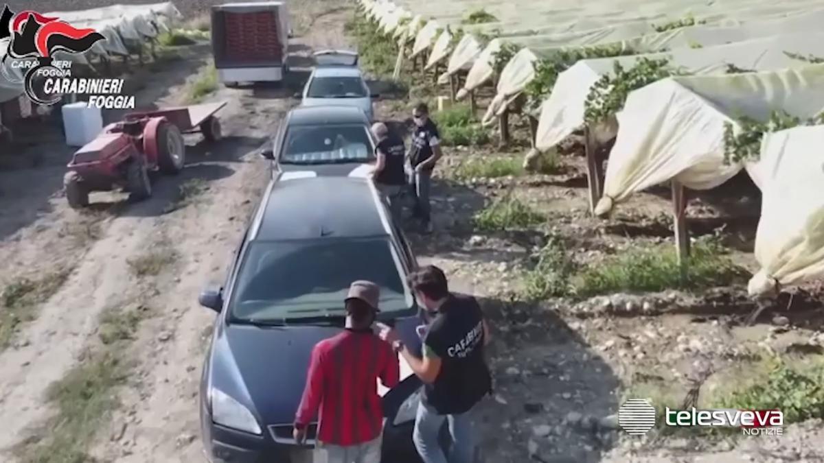 munca la negru italia pe camp