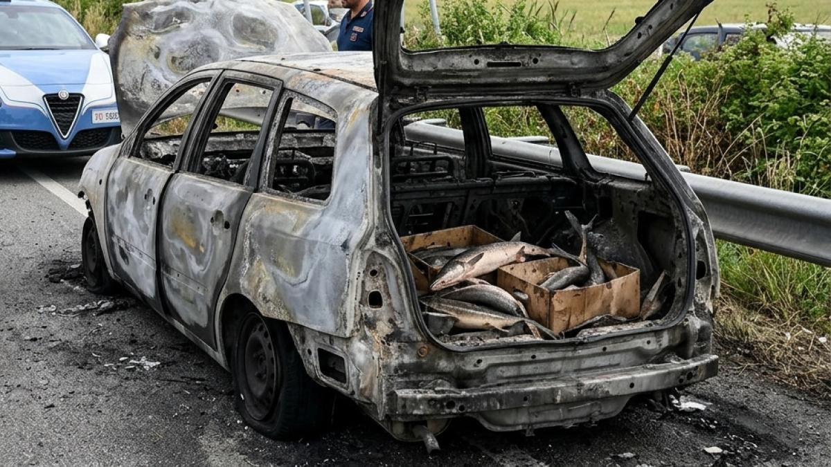 Mașină carbonizată / Sursă: Imgaine generată cu AI