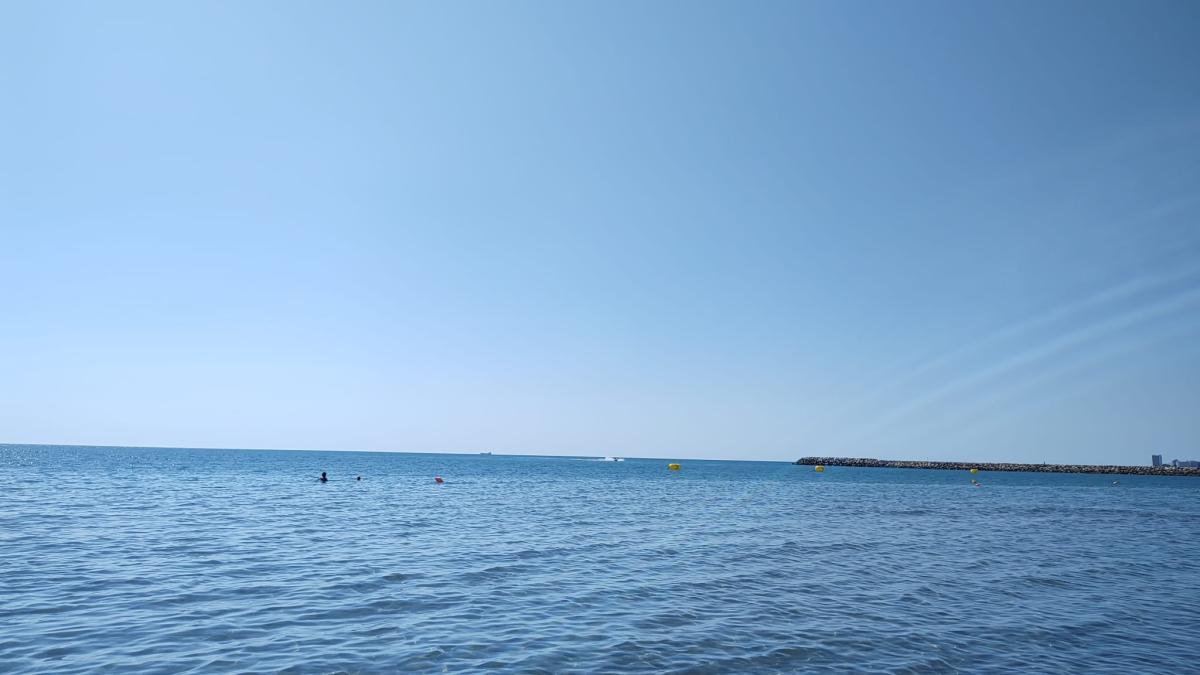 mare