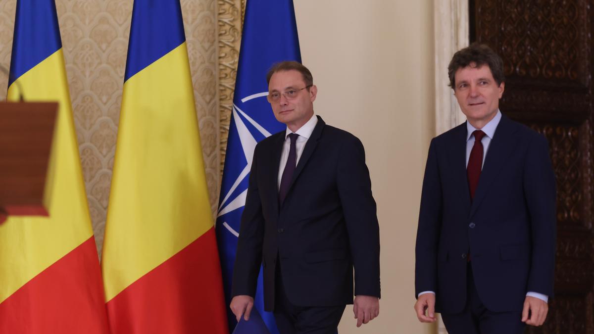 luca niculescu si nicusor dan
