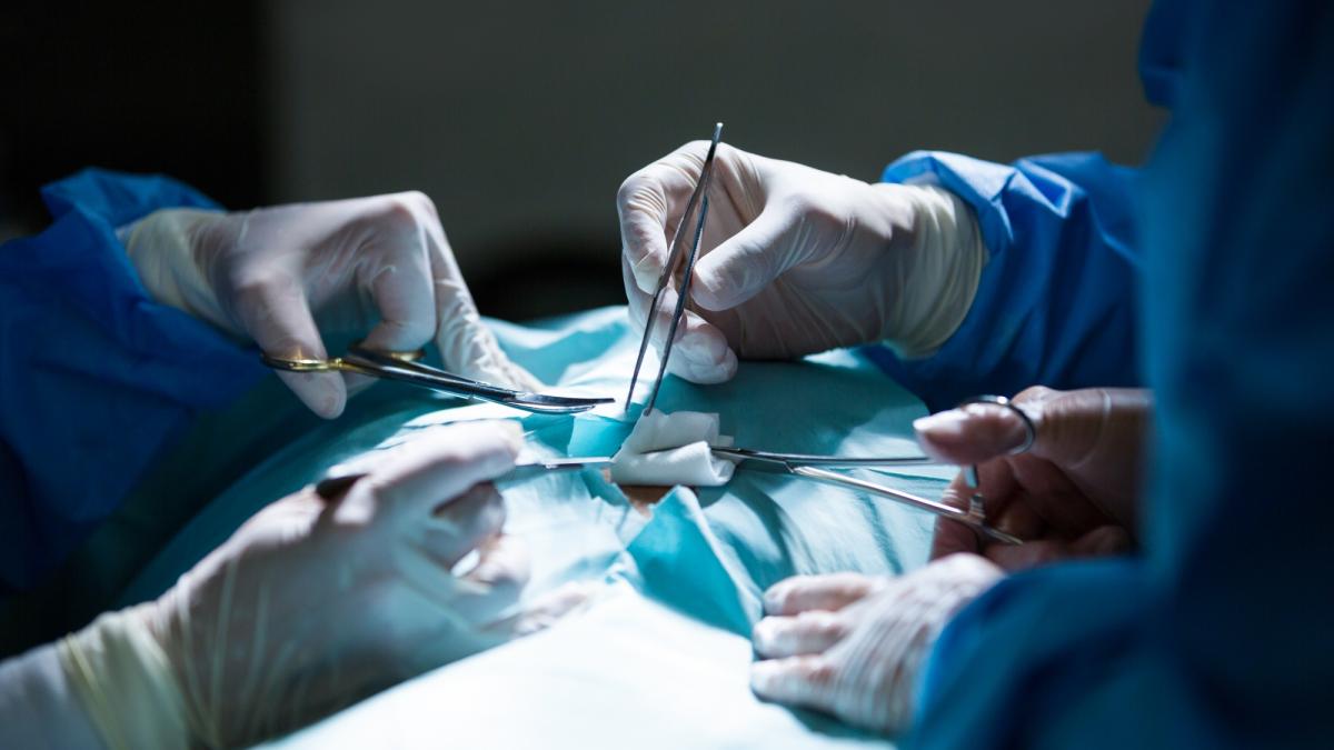 Transplant rinichi / Sursă: Freepik