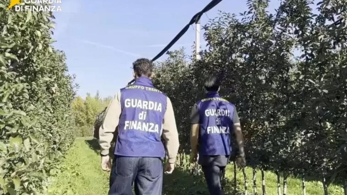 garda de finante muncitori exploatati muncitori italia