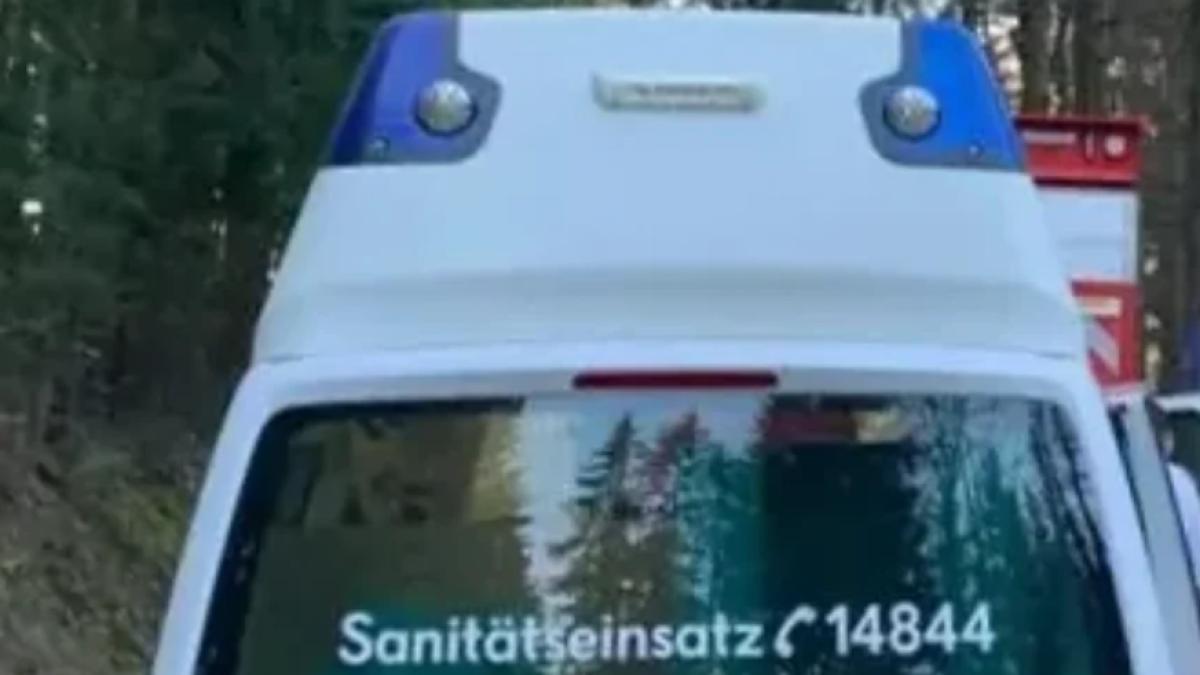 salvare austria