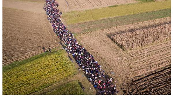 Gafă The Independent la adresa României