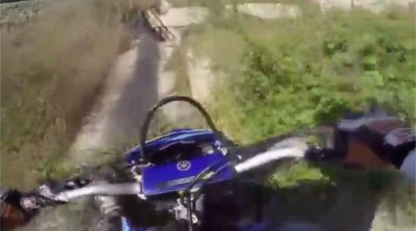 A scăpat cu viață și a ajuns vedetă pe internet