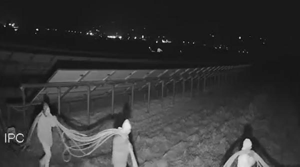 Video incredibil! Românii distrug un parc fotovoltaic în doar câteva minute