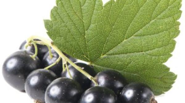 Ce trebuie să mănânci în perioada covalescenței