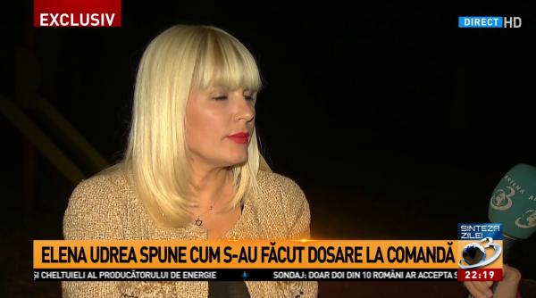  Ministerul de Externe, anunț despre azilul politic al Elenei Udrea