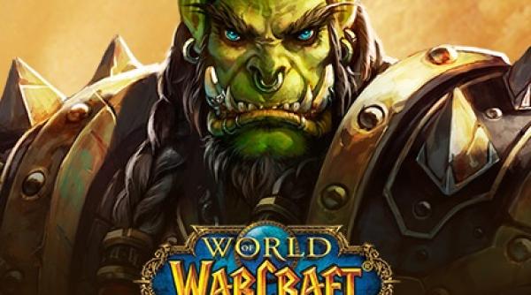 World of Warcraft. Jucător român, CONDAMNAT în SUA 