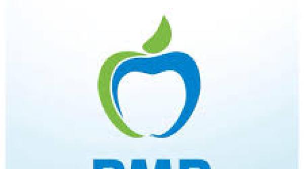 PMP Diaspora, rupere masivă. Lovitură înainte de Congres