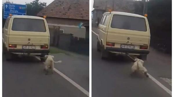 Un fost viceprimar a chinuit îngrozitor un câine. L-a legat de mașină
