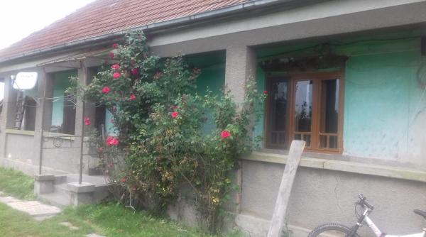 Casă gratis în Satu Mare. Se caută o familie nevoiașă