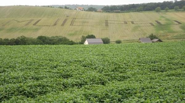 Protestatarul care a scris 'M..E PSD', chemat la POLIȚIE