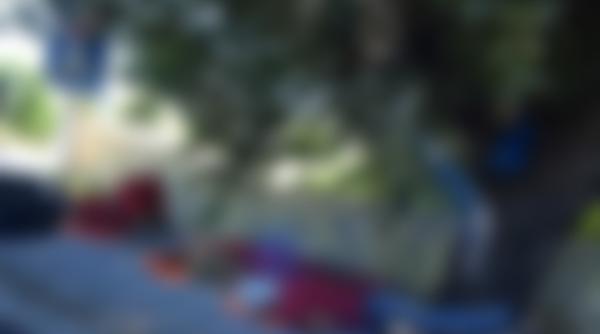 Fotografia care a revoltat Diaspora. Controversă aprinsă 