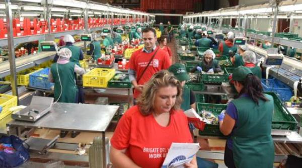 Italia: Controale la fabricile unde lucrează români 