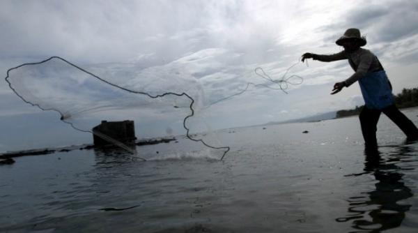 Români arestați în Spania pentru trafic cu pește