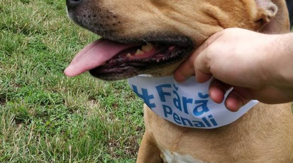 Godină se implică în campania #fărăpenali alături de un coleg polițist