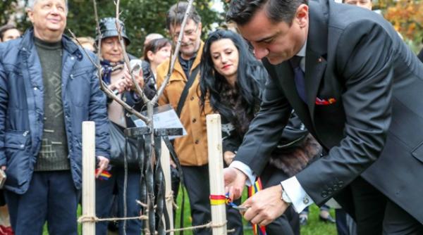 Mihai Chirica explică fenomenul m˙˙˙e PSD: Acest partid a intrat într-o perioadă negativă