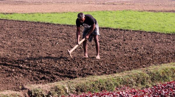 Românii simpli și muncitori salvează Europa. Reuters: Producția agricolă din România ar putea salva UE 