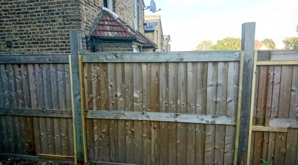 Femeie din Anglia, uimită de o familie de români: "Ai naibii străini"