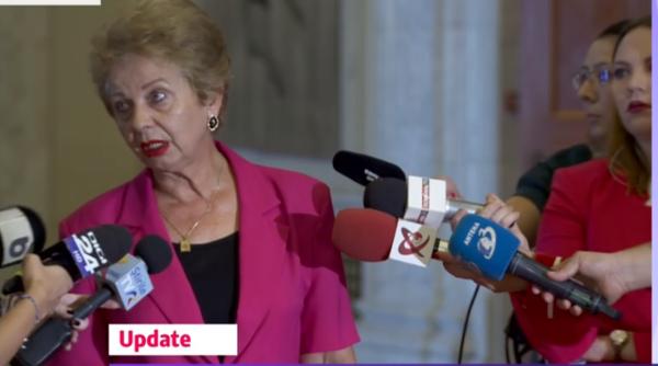 Doina Pană, membru CEX: E greu de lucrat cu Dragnea. Continuarea declarației, surprinzătoare 