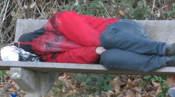 Sclavie în Germania: Muncitor ROMÂN, culcat trei săptâmâni pe bancă, în pădure. CUTREMURĂTOR