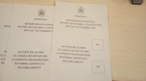 Despre referendum: Clipuri VIRALE din țară și diaspora - VIDEO