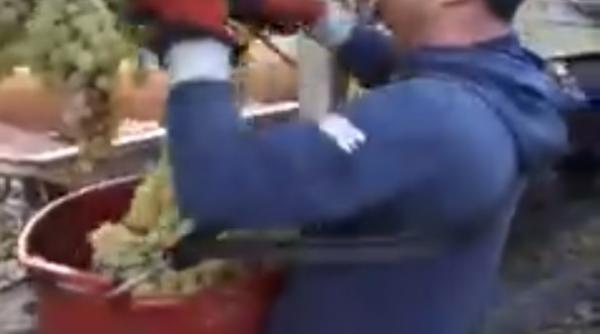 Cum muncesc românii în Italia. VIDEO viral. E incredibil