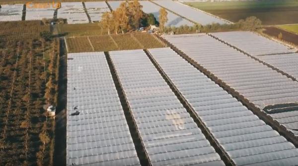 Italia: "Caporal" român, care a exploatat la muncă mii de conaționali, ARESTAT. Acțiune de amploare. Video