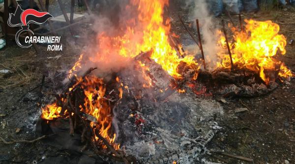 Italia. Român, arestat. Dădea foc în fiecare zi la aparate electronice