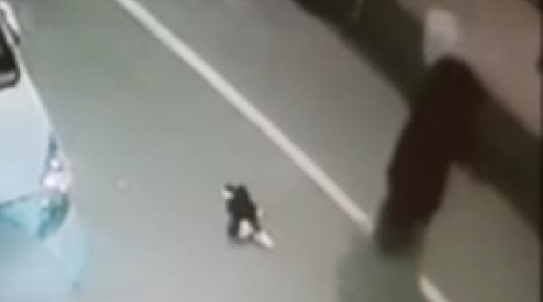 Italia: Român, la închisoare pentru uciderea unei pisici