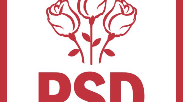 PSD anunță că DIASPORA va fi ELIMINATĂ din procesul de vot din România