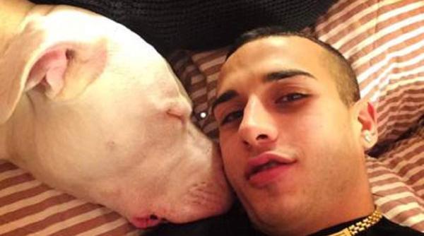 Italia. Român, UCIS în bătaie de un italian pentru că i-a mângâiat câinele. Ce pedeapsă a primit criminalul