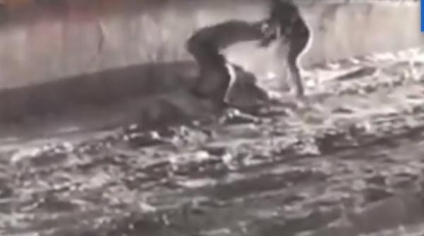 IMAGINI ȘOCANTE cu crima de la Mediaș. Recidivistul aplică 11 lovituri de cuțit victimei