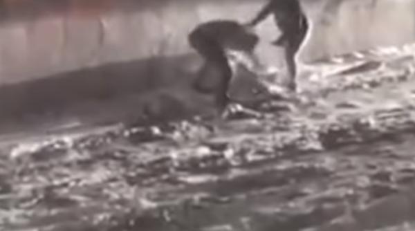 Recursul compensatoriu. Eliberările deținuților vor continua până în 2022