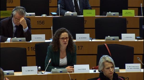 Toader, ÎN CORZI în Parlamentul European: Am aflat că anulați 100 de condamnări