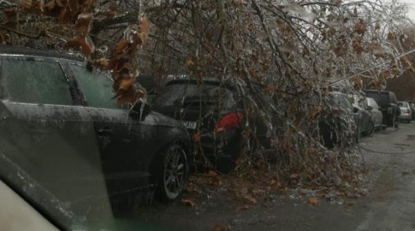 România este ÎNGHEȚATĂ