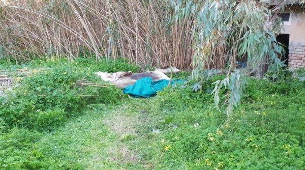 Italia. Trupul unui ROMÂN, descoperit în avansată stare de descompunere la malul mării