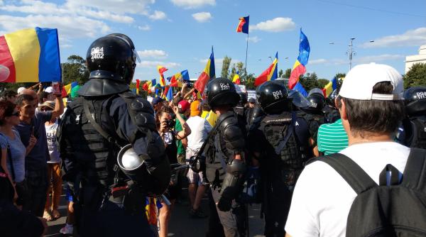 Bădulescu, NOI precizări despre mitingul Diasporei. "A fost sau n-a fost creația lui Dragnea"