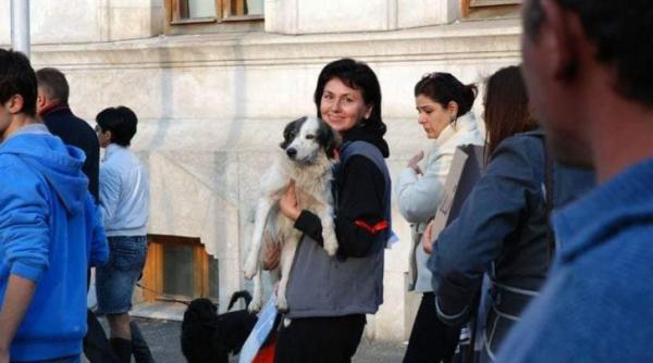 AJUTOR. Câinele PROTESTATAR din Galaţi îşi caută STĂPÂN