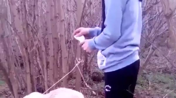 Un tânăr din Dâmbovița A DAT FOC unui cățel legat de un copac. IMAGINILE ȘOCANTE i-au alertat pe polițiști