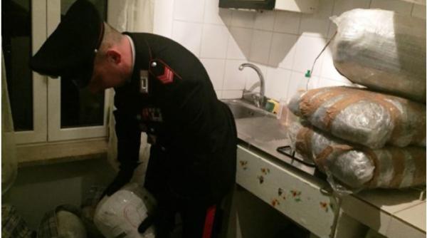 Italia. Captura IMPRESIONANTĂ. Un român ținea în casă peste 90 de kilograme de droguri