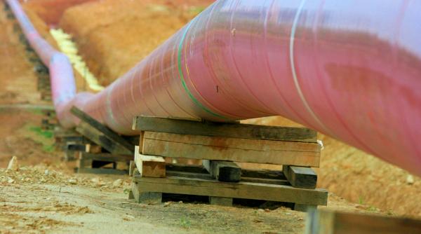 Romgaz şi OMV Petrom, ANCHETATE de Consiliul Concurenţei