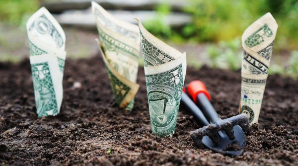 Olanda. Șofer român de TIR, surprins săpând după bani în TUFIȘURI