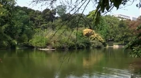 Franța: Gemenele ROMÂNCE, găsite MOARTE într-un lac din Paris, au lăsat un BILET de ADIO