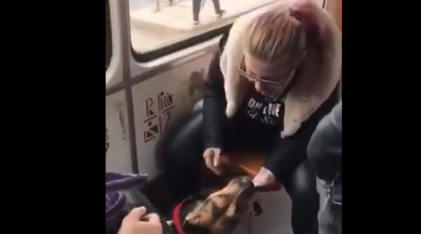 Imagini VIOLENTE! Tânără, înregistrată în timp ce își lovește cu brutalitate câinele. APEL pentru cetățeni