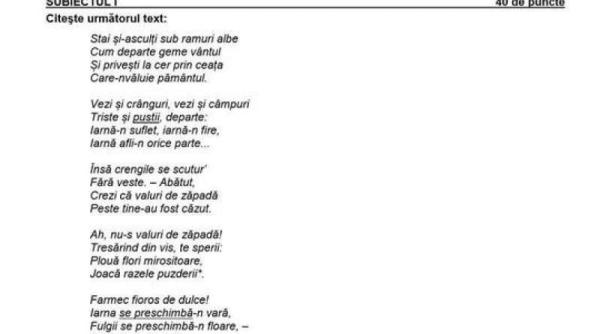 Simulare Evaluare Națională. EROARE în subiectele la română: „Regret că ne întâlnim cu un malpraxis pedagogic”