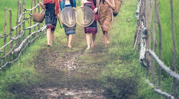 Italia. Zeci de SCLAVI români, salvaţi. Au fost exploataţi tot de o româncă