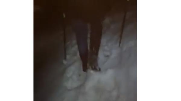 Turiști cehi, rătăciți pe munte. Au intervenit salvamontiștii: "Pe ăștia îi găseam lemn până dimineață" (VIDEO)