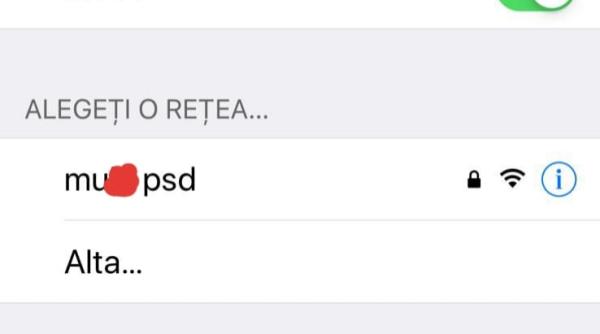 Avocata lui Liviu Dragnea sesizează CSM din cauza unei reţele de Wifi "M..e PSD"